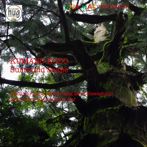 实践视频speaking外网
